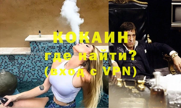 ПСИЛОЦИБИНОВЫЕ ГРИБЫ Инсар