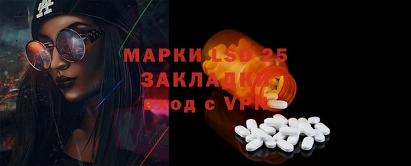 ПСИЛОЦИБИНОВЫЕ ГРИБЫ Инсар