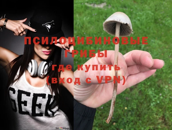 ПСИЛОЦИБИНОВЫЕ ГРИБЫ Инсар