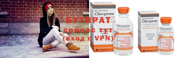 ПСИЛОЦИБИНОВЫЕ ГРИБЫ Инсар