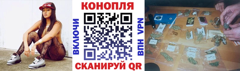Купить закладки  Заозёрск  Шишки марихуана THC 21% 